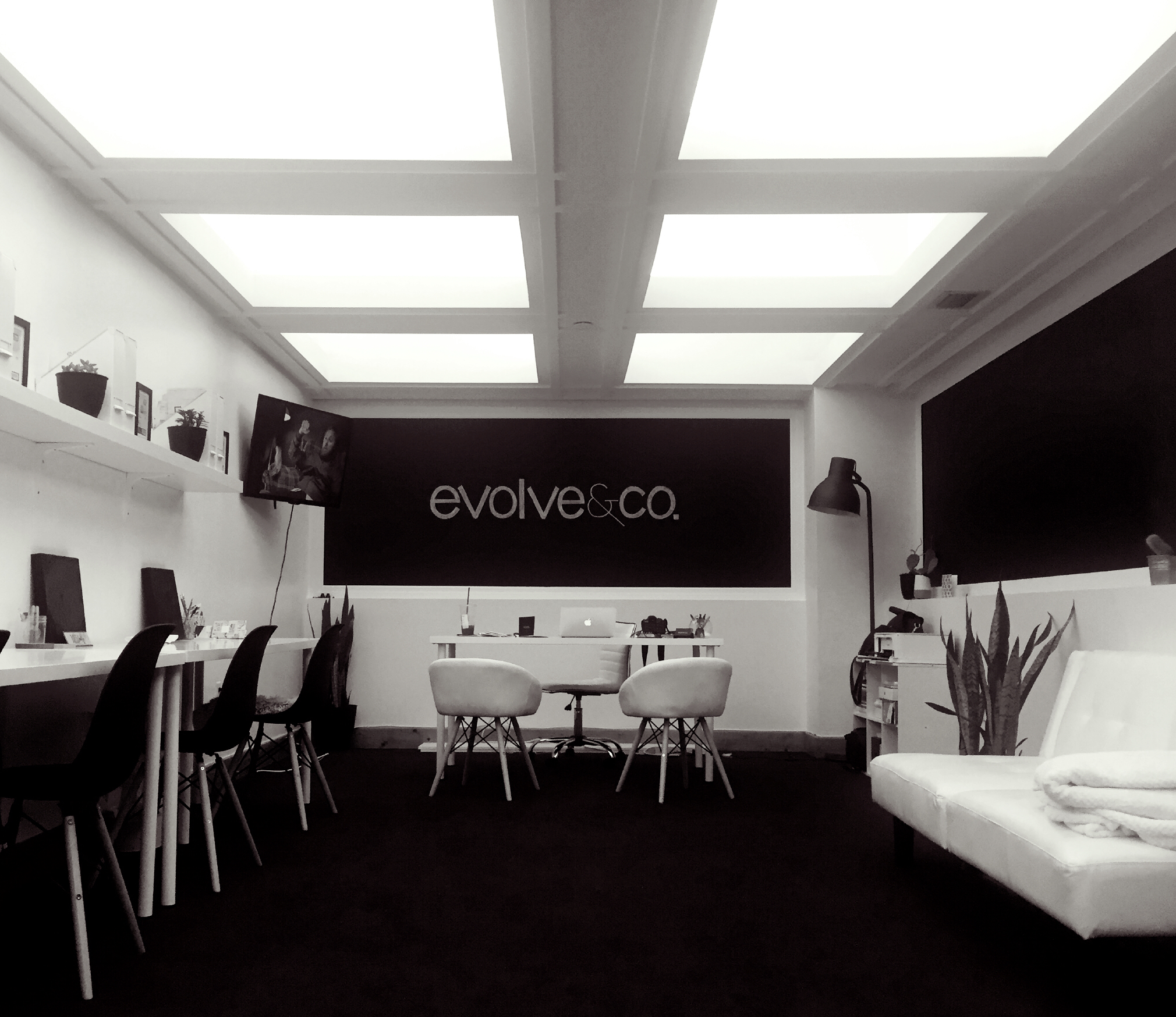 evolve & co creative agency